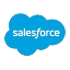 Salesforce Development Services